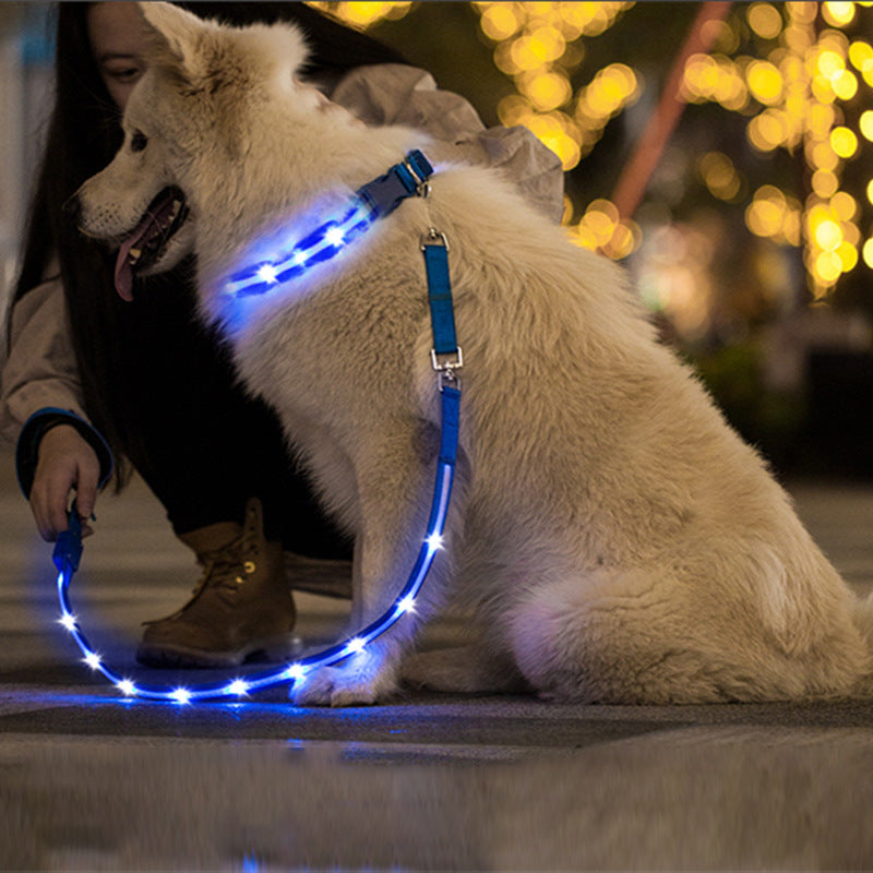Illuminate Your Walks with the Creative LED USB Charging Luminous Pet Leash